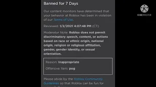 Stupid roblox bans lol