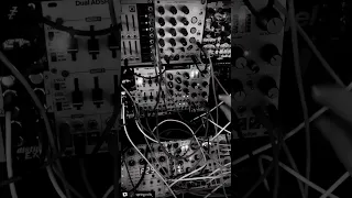 Modular synth madness by @spring.rolls_ #shorts #synth