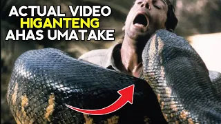 DAMBUHALANG AHAS UMATAKE NAKUHANAN PA NG VIDEO | SCARY ANIMAL ENCOUNTER