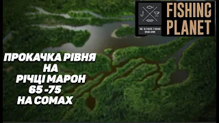 Fishing Planet: Річка Марон СОМИ фарм та прокачка 65-75 рівня