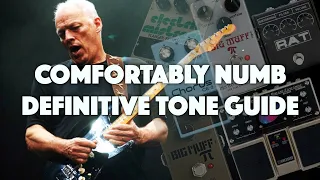 Every Comfortably Numb Guitar Tone Archive (1979-2016)