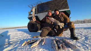 НЕ УСПЕЛИ ВЫСТАВИТЬ, КАК ПОНЕСЛАСЬ! РУКИ В КРОВЬ, ЩУКИ ЗЛЫЕ КАК СОБАКИ  НОЧЬ НА ЛЬДУ В ВЕЗДЕХОДЕ !