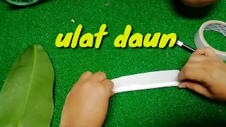 ide bermain untuk anak membuat ulat dari kertas tisu