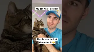 How My Cat Lost 8 Lives