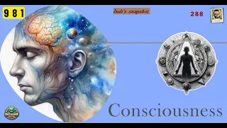 Consciousness | Indi's Snapshot | attention | mind | beyond | individual | unique | @Vettaveli