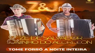 Zé de Salvador e Juninho do acordeon Cd completo Tomé forró a noite inteira