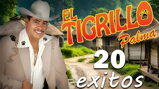 El Tigrillo Palma - 20 Corridos Pesados Mix