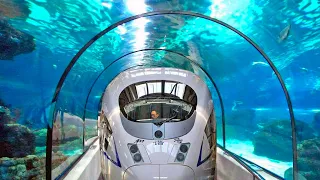 China Builds World's First High-Speed Rail Undersea Tunnel, Astounding American Engineers!