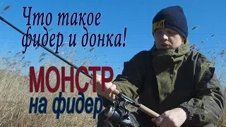 Что такое донка и фидер! Монстр на фидер!