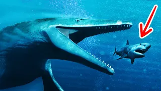 Fakten und Mythen über den Megalodon und andere Seeungeheuer