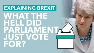 MPs Take Back Control of Brexit Process - Brexit Explained