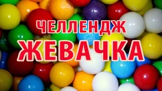 БАБЛ-ГАМ / ЖЕВАЧКА ЧЕЛЛЕНДЖ / Bubble Gum Challenge/ ЖВАЧКА ЧЕЛЛЕНДЖ