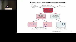 ЭКСТРЕМАЛЬНАЯ АНТИБИОТИКОРЕЗИСТЕНТНОСТЬ Фурсова НК