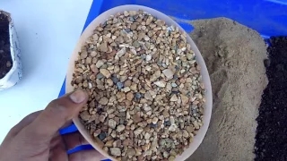 बोन्साई मिट्टी बनाने का सबसे आसान तरीका How to prepare bonsai soil ,easiest method and tips