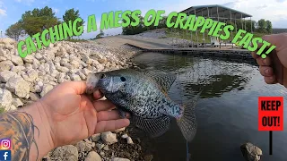 Catching a mess of CRAPPIES fast! (Saylorville Lake Marina)