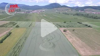 Crop circle à Saint-Hippolyte