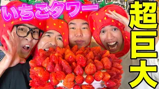 【大食い】大好物がいちごの4人を集めたら100個のいちごタワー無くせる！？