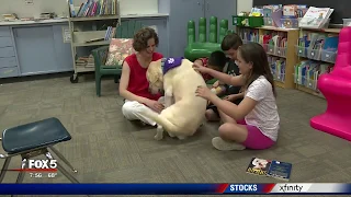 Dog helps kids learn to read