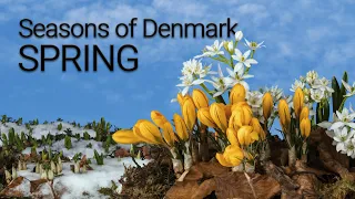 Seasons of Denmark - Spring (a timelapse film from Skjoldungernes Land National Park on Zealand)