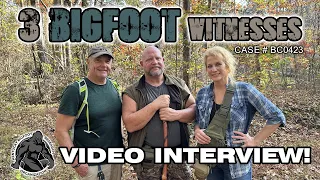 MUST WATCH Bigfoot Sighting by 3 Witnesses!!! #bigfoot #cryptozoology #kentucky #shorts #fyp