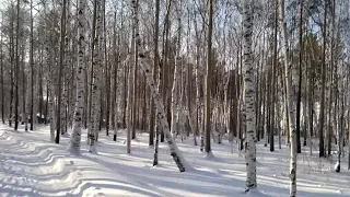Irkutsk, Siberia Dec 2010 (8)