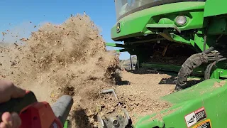 Harvesting the MARCH Planted Soybeans! - #515