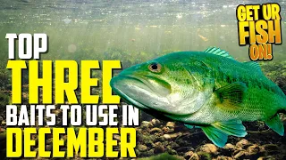 Expert Advice: THREE Bass Fishing Lures You Should Bring in December