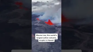 World’s Largest Active #Volcano Erupts