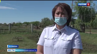Россельхознадзор проверил прудовые хозяйства Астраханской области