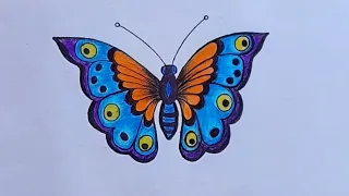 How to draw a Butterfly🦋  in colour pencil