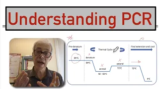 Understanding PCR