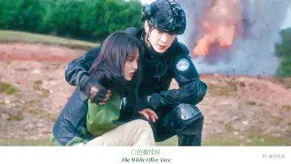 【FMV】The White Olive Tree - Chen Zhe Yuan & Liang Jie ( 白色橄榄树 - 陈哲远 & 梁洁)