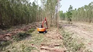 Nisula 425C head harvester on Hitachi 70