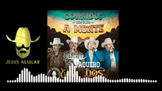 Mix Corridos Con Olor A Monte (Los Dos Carnales Ft. Los Dos De Tamaulipas) 2020