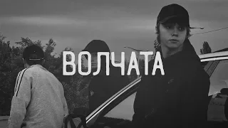 YARMAK - Волчата