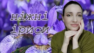 КУПИЛА НАОСЛІП БОКС З АРОМАТАМИ | Розпаковка і перші враження | ІРИСОВІ АРОМАТИ 💜💛