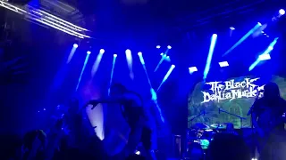 THE BLACK DAHLIA MURDER( live) Child of Night 9/24/2021