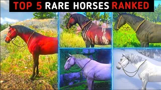 Red Dead 2 TOP 5 DES CHEVAUX RARES AVEC APPRIVOISEMENT !! (il sont Magnifique 🤩 )