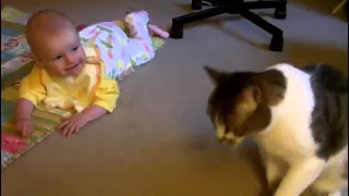 Смешной Канал - Кошка развлекает малыша
