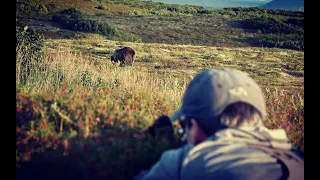 Alaskan Grizzly Adventure