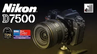 NIKON D7500  |  Ещё один художник