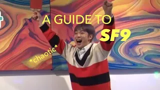 A Helpful Guide To SF9