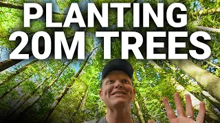 How to Plant 20 MILLION TREES - Smarter Every Day 227 #TeamTrees