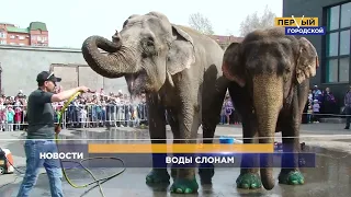 ВОДЫ СЛОНАМ