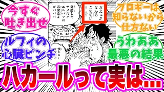 【最新1112話】ルフィが食べた「ハカール」が思ったよりもヤバイことに気づいてしまった読者の反応集【ワンピース】