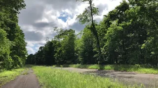 PA Turnpike abandoned tunnels, Cicadas flying