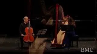 STRAUSS Romance For Cello and Harp in D minor, Op. 243 (arr. Zdorovetchi)