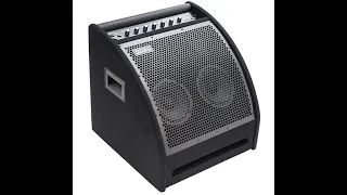 Soundking DS200 Монитор для электронной ударной установки 200Вт