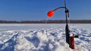 Ловим леща на КОМБАЙНЫ !(СПУСКНИКИ) Долгожданная рыбалка!