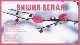 ВИШНЯ БЕЛАЯ (Очень красивая песня о Любви)